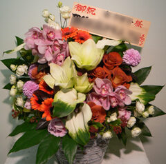 楽屋御見舞　2009-01-20
