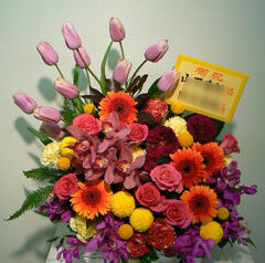 楽屋御見舞　中野サンプラザ　2009-04-20