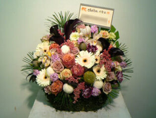 アレンジメント　開店御祝2009-05-02