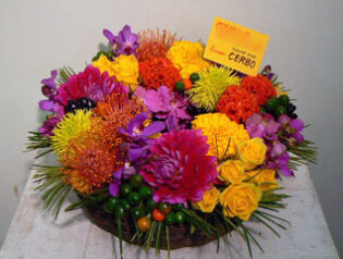 楽屋御見舞　2009-11-04