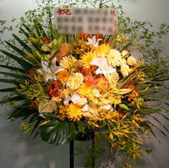 青山劇場　2010-06-03