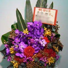 楽屋御見舞パブリックシアター　2010-11-04