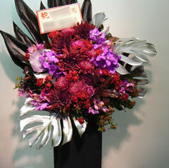ブラックリーフ　2011-01-26
