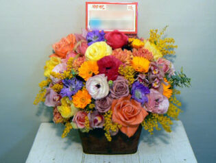 春　2011-02-17