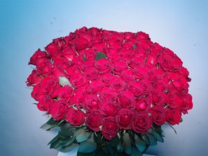 赤バラ　花束　100本